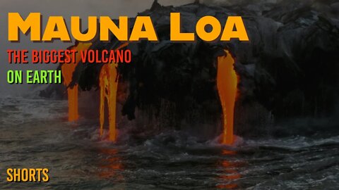 The Biggest Volcano in the World | Mauna Loa #shorts