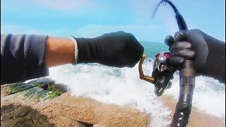 GIANT FISH HIDE ON THIS UNINHABITED ISLAND (WE CAUGHT THEM)