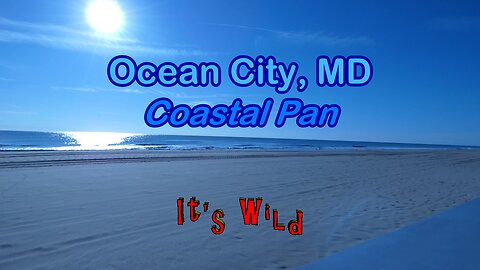 Ocean City, MD Coastal Pan