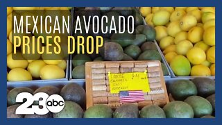 California experiences avocado shortage while Mexico lowers avocado prices