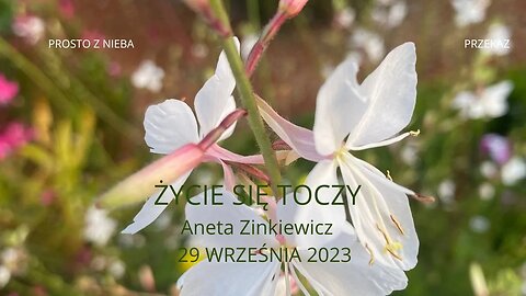 ŻYCIE SIĘ TOCZY ANETA ZINKIEWICZ SD 480p