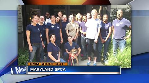 Maryland SPCA gives Good Morning Maryland shoutout