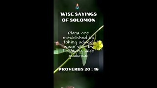 Proverbs 20.18 | NRSV Bible - Wise Sayings of Solomon