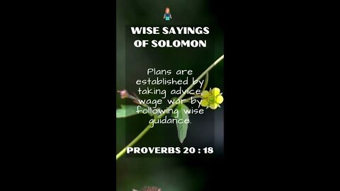 Proverbs 20.18 | NRSV Bible - Wise Sayings of Solomon