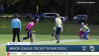 San Diego cricket team