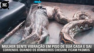 Mulher sente vibração em piso de sua casa e sai correndo. Quando os bombeiros chegam, ficam pasmos.