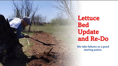 Lettuce Bed Update and Re-Do, New Method to Plant