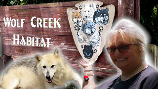 The WOLF CREEK Habitat | RV New Adventures