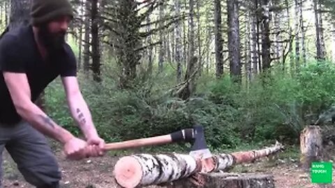 HARVeSTING FIREWOOD - Axe Bow Saw Fatwood Tree Pitch Campfire #survival