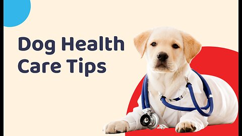Keeping Your Dog Happy and Strong