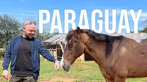 I Adopted a Horse in Paraguay