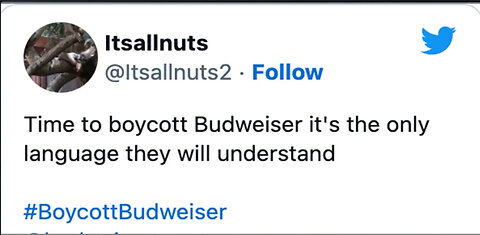 🚨PANIC: Budweiser CEO Finally BREAKS SILENCE | Issues Groveling Non-Apology After Losing BILLIONS