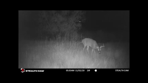 Giant Nebraska Whitetail 9 Pointer - 11/2/21: Creek Spot | Outdoor Jack