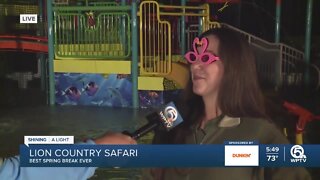 New attractions and animals at Lion Country Safari