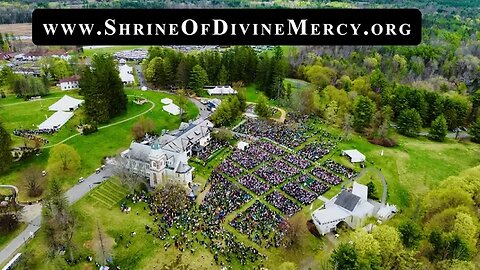 Bee's Eye View of the National Shrine of The Divine Mercy