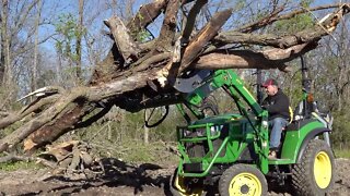 Tractor Grapple VS. Large Tree