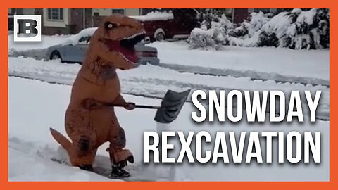 Dinosaur Digs In: Snow Shoveling Takes Prehistoric Turn in Arvada, Colorado