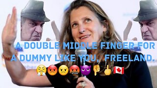 Freeland Stupidly Invites European Grocery. 😤😡😠🤬👿👎🖕🇨🇦