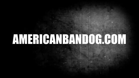 AmericanBandog.com