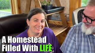 A Homestead Filled With | LIFE Big Family Homestead