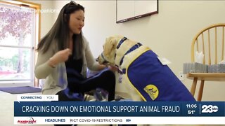 ABC468 cracks down on emotional support animal fraud