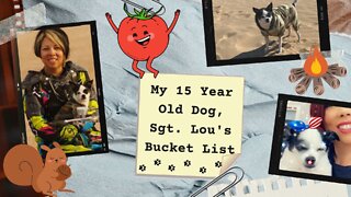 My 15 Year Old Dog, Sgt. Lou's Bucket List