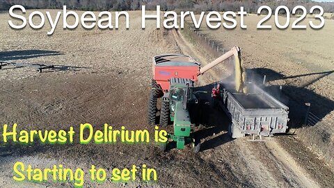 Soybean Harvest 2023: Harvest Delirium is Starting to Set in