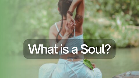 What is a Soul?