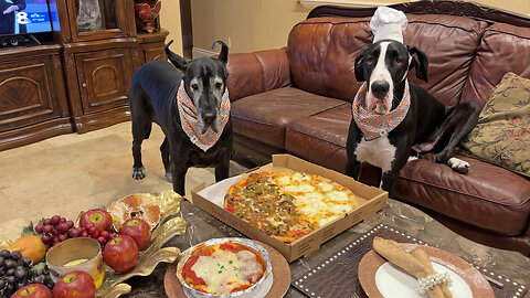 Great Danes Enjoy Pizza Night