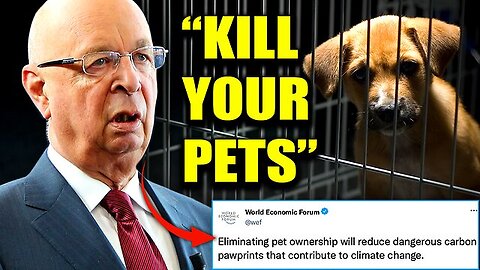 🐕🐈 Klaus Scwhab and the WEF Wants You to Slaughter Your Beloved Cats and Dogs to Help Fight Climate Change 🐕‍🦺🐩