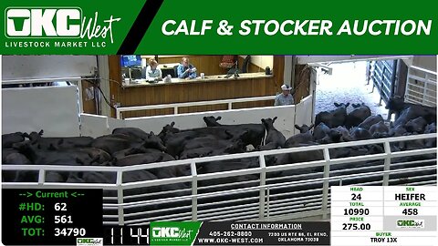 9/26/2023 - OKC West Calf and Stocker Auction
