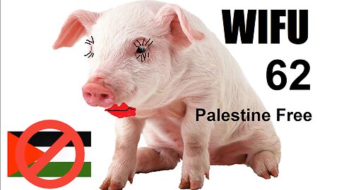 The Wifu Show 062 -- Palestine Free