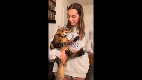 one in a million funny cats part2 @shorts_Full-HD