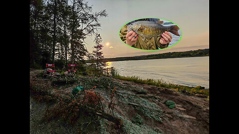 Horseshoe Lake, Manitoba Smallmouth (Overnight Camping)