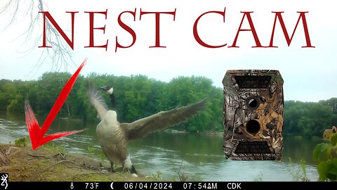 Goose Nest Trail Camera