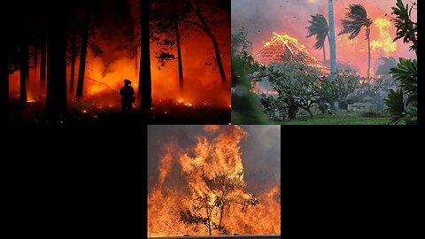 Hawaii wild fires killed many people. 11,000 evacuated. Lahaina destroyed