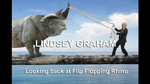 LINDSEY GRAHAM Looking back at Flip Flopping Rhino