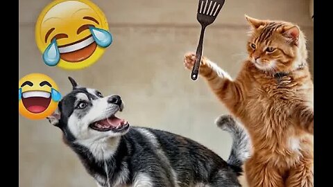 You Laugh You Lose 😍 Funniest Cats and Dogs 2024 😸🐶