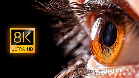 Taking High Quality Videos (Really informative) - Everyday Objects in Macro in 8K ULTRA HD / 8K TV