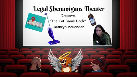 Legal Shenanigans Theater Cat part 2