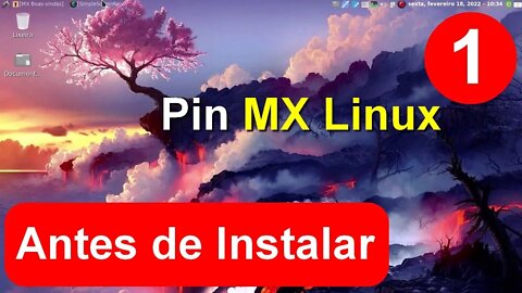 1- Pin Linux OS - Considerações Iniciais antes de Instalar Dual Boot com Windows