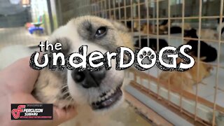 Underdog 3rd episode