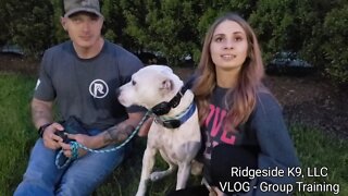 Team Dog Training - VLOG - Ridgeside K9, LLC