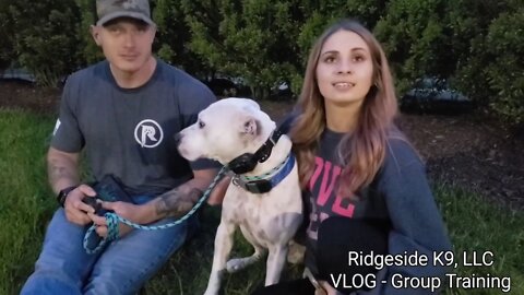 Team Dog Training - VLOG - Ridgeside K9, LLC