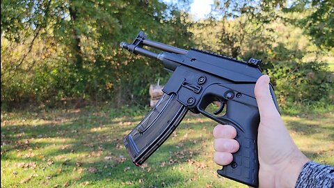 Keltec PLR22 Plinking