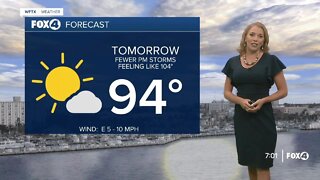 Fewer Storms Forecast Sunday Afternoon