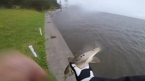 River fishing between rain showers - September 2022