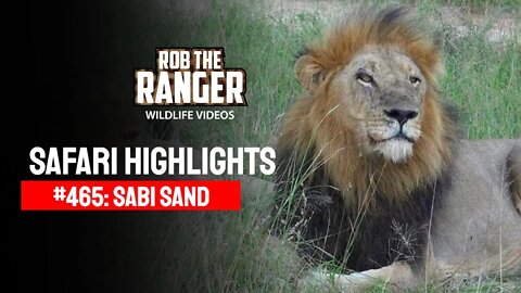 Safari Highlights #465: 24 - 28 March 2017 | Sabi Sand Nature Reserve | Latest Wildlife Sightings