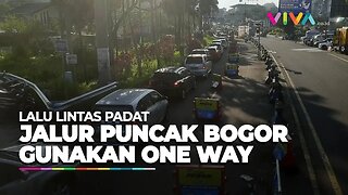 Pantauan Kondisi Lalin Menuju Puncak Bogor, Polisi Terapkan One Way Pagi Ini