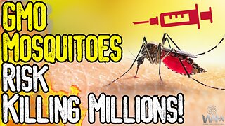 BREAKING: GMO MOSQUITOES RISK KILLING MILLIONS! - Both U.S. & UK Face New Deadly Diseases!
